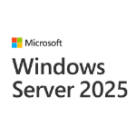 Microsoft WIN SVR STD 2025 16CR NOKEY APOS ADD