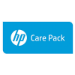 Hewlett Packard Enterprise U0BU4E IT support service