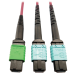Tripp Lite N846D-05M-16DMG InfiniBand/fibre optic cable 196.9" (5 m) MTP OFNP Magenta