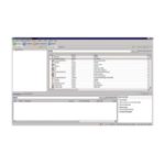 Schneider Electric AP94VMTRL software license/upgrade 1 license(s)