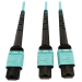 Tripp Lite N846D-05M-24BAQ InfiniBand/fibre optic cable 196.9" (5 m) MTP OFNP Aqua color