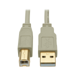 Tripp Lite U022-010-BE USB-kabel USB 2.0 3,1 m USB A USB B Beige