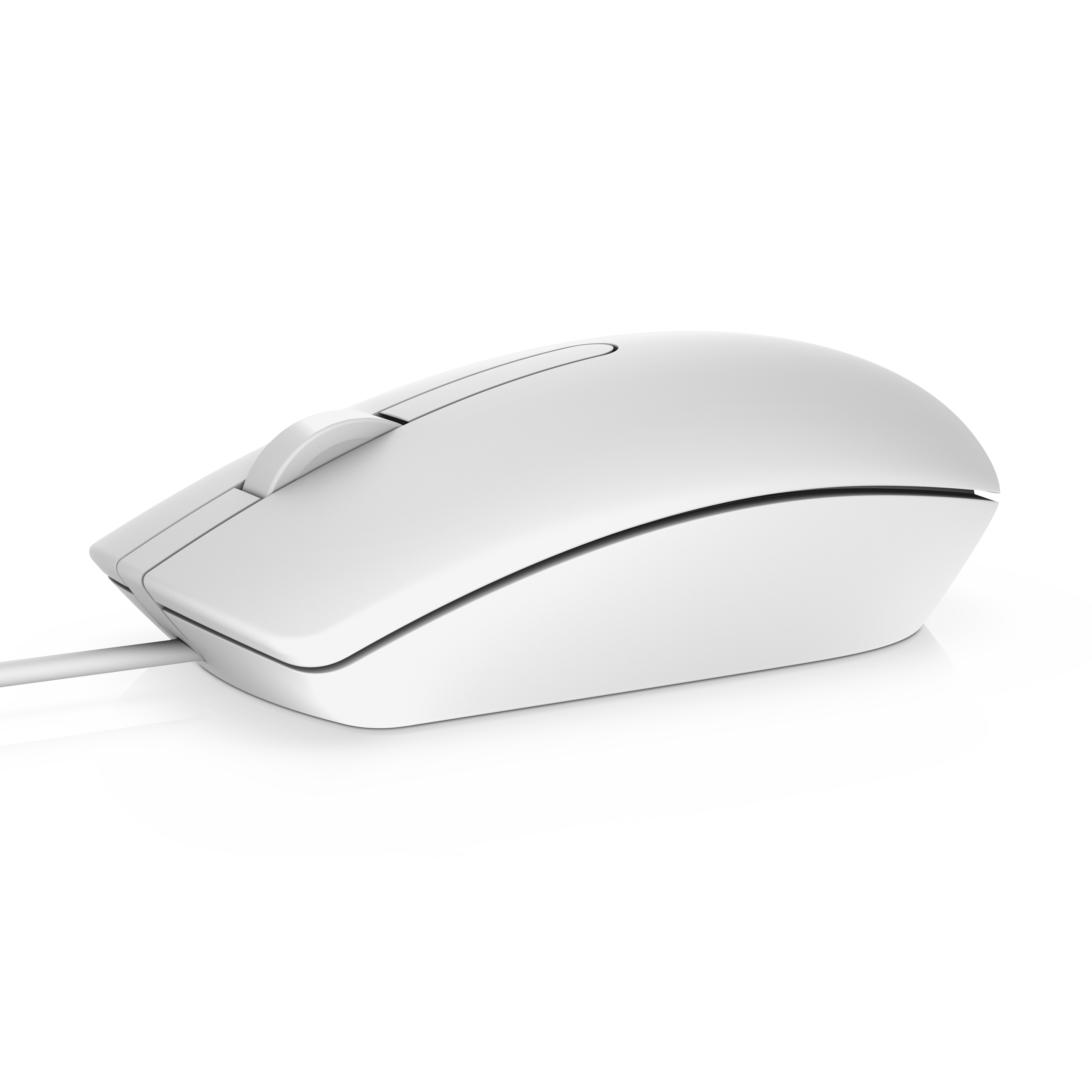 Image of DELL MS116 mouse Ambidextrous USB Type-A Optical 1000 DPI