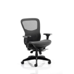 Dynamic PO000021 office/computer chair Mesh seat Mesh backrest