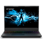 Erazer Major X20 Intel® Core™ i7 i7-14700HX Laptop 40,6 cm (16") Quad HD+ 16 GB DDR5-SDRAM 1 TB SSD NVIDIA GeForce RTX 4070 Wi-Fi 6E (802.11ax) Windows 11 Home Zwart