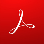 Adobe Acrobat Pro Government (GOV) Subscription English 12 month(s)  Chert Nigeria