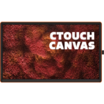 CTOUCH Canvas 65 Inch Regal Orange InGlass optically bonded touch | No-OS touch display | interactive frame