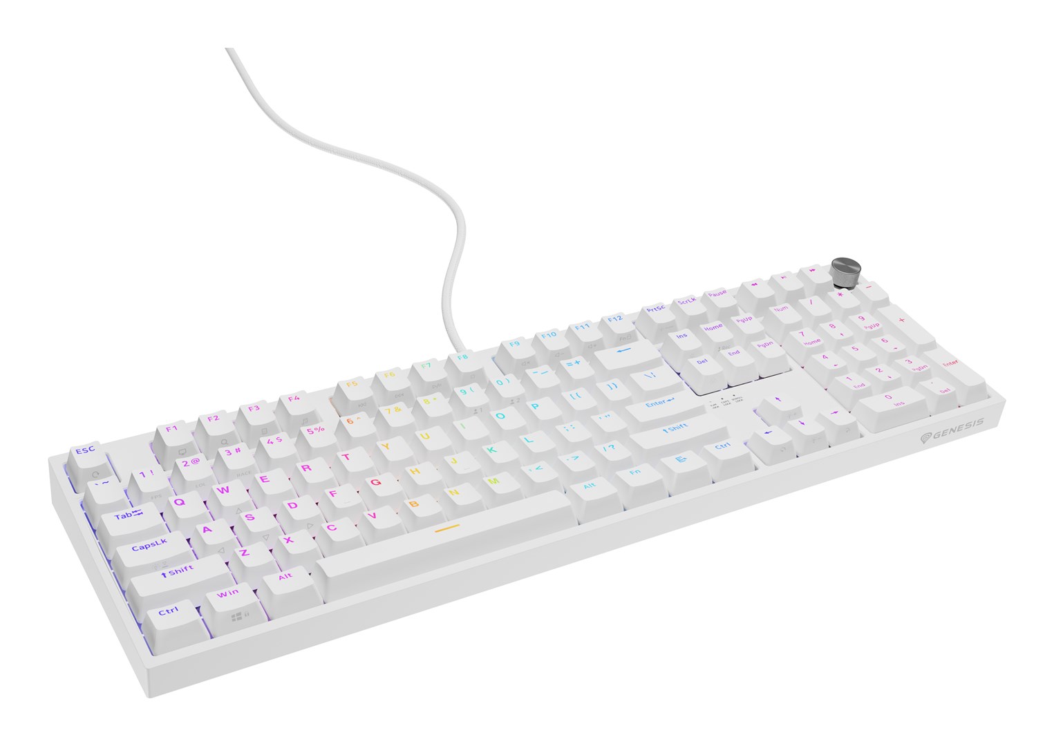 GNS GENESIS NKG-2300 keyboard Universal USB QWERTY English White