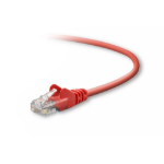 Belkin Cat5e Patch Cable, 2ft, 1 x RJ-45, 1 x RJ-45, Red networking cable 23.6" (0.6 m)