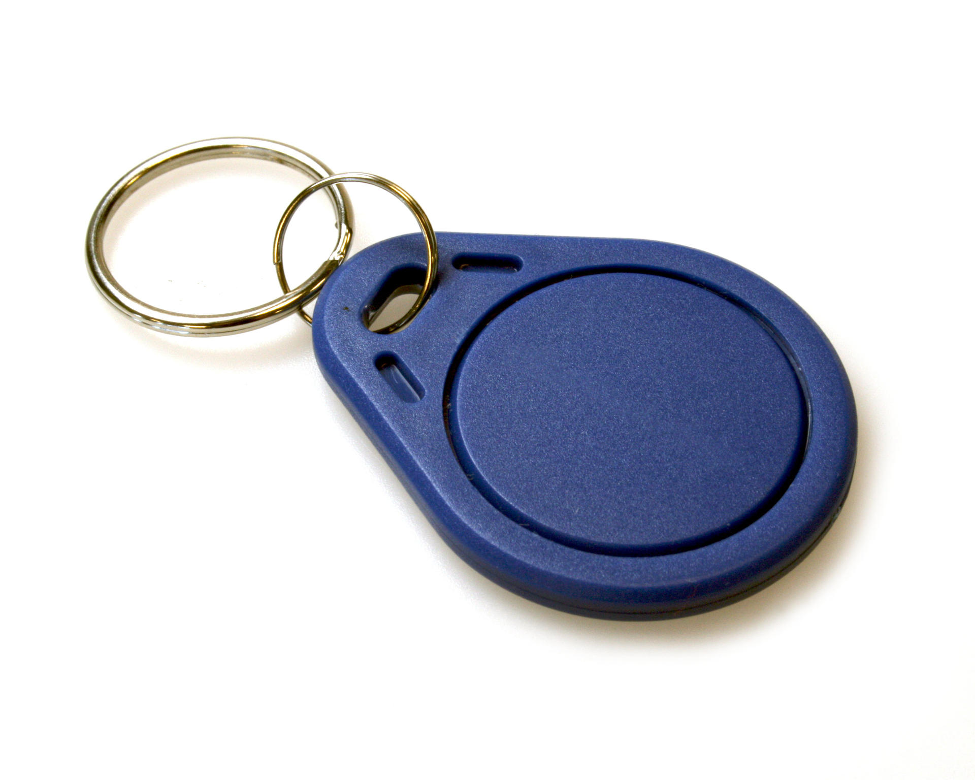 EM Microelectronic EM4200 125KHZ KeyFobs (Pack of 100)
