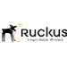 Ruckus Wireless BR-ICX-7150-210U410R-P-01 software license/upgrade 1 license(s)