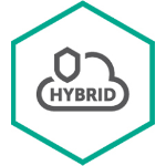 Kaspersky Lab Hybrid Cloud Security 12 month(s)