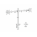 Equip 17"-32" Articulating Dual Monitor Desk Mount Bracket, White