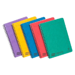 Clairefontaine Europa 10PK Notemaker A5 120 pages 90g paper Assorted