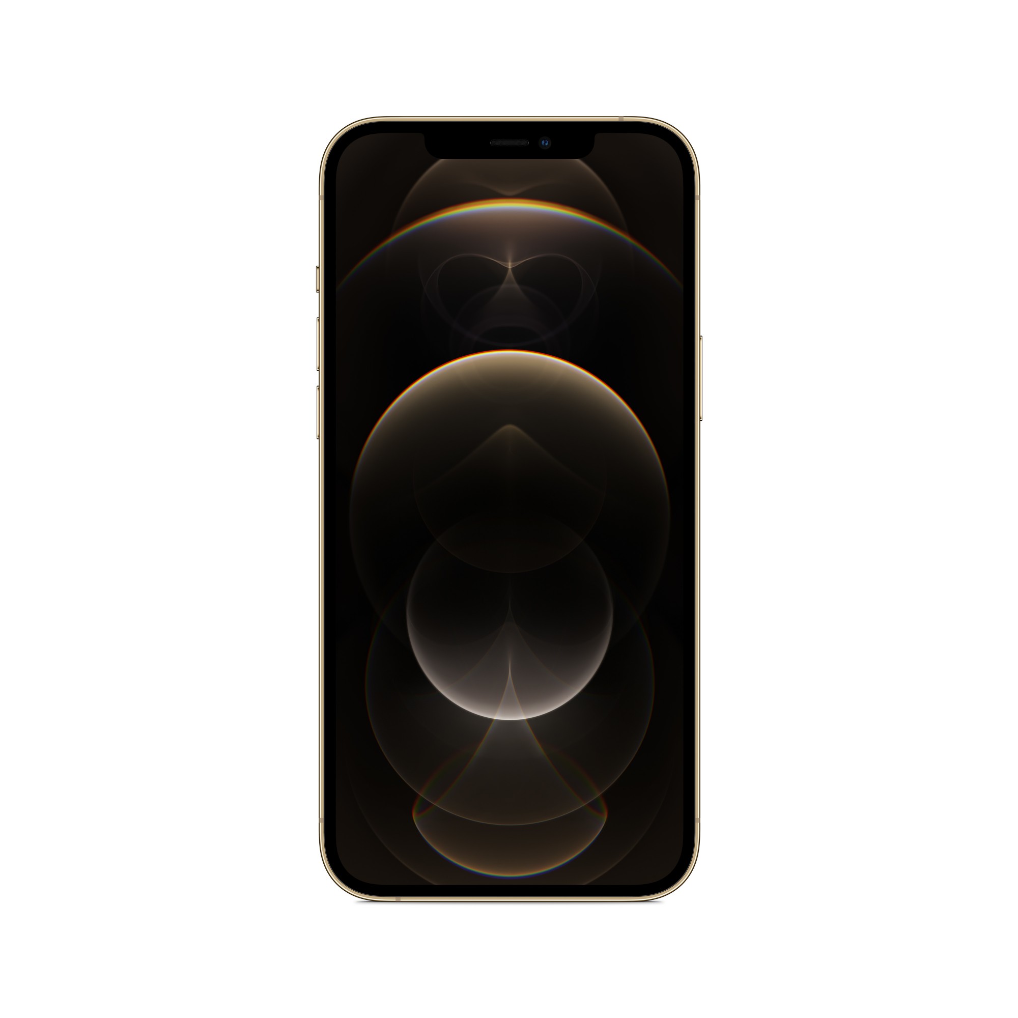 Apple Iphone 12 Pro Max 17 Cm 6 7 Dual Sim Ios 14 5g 256 Gb Gold Mgde3b A