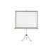 1902397 - Projection Screens -