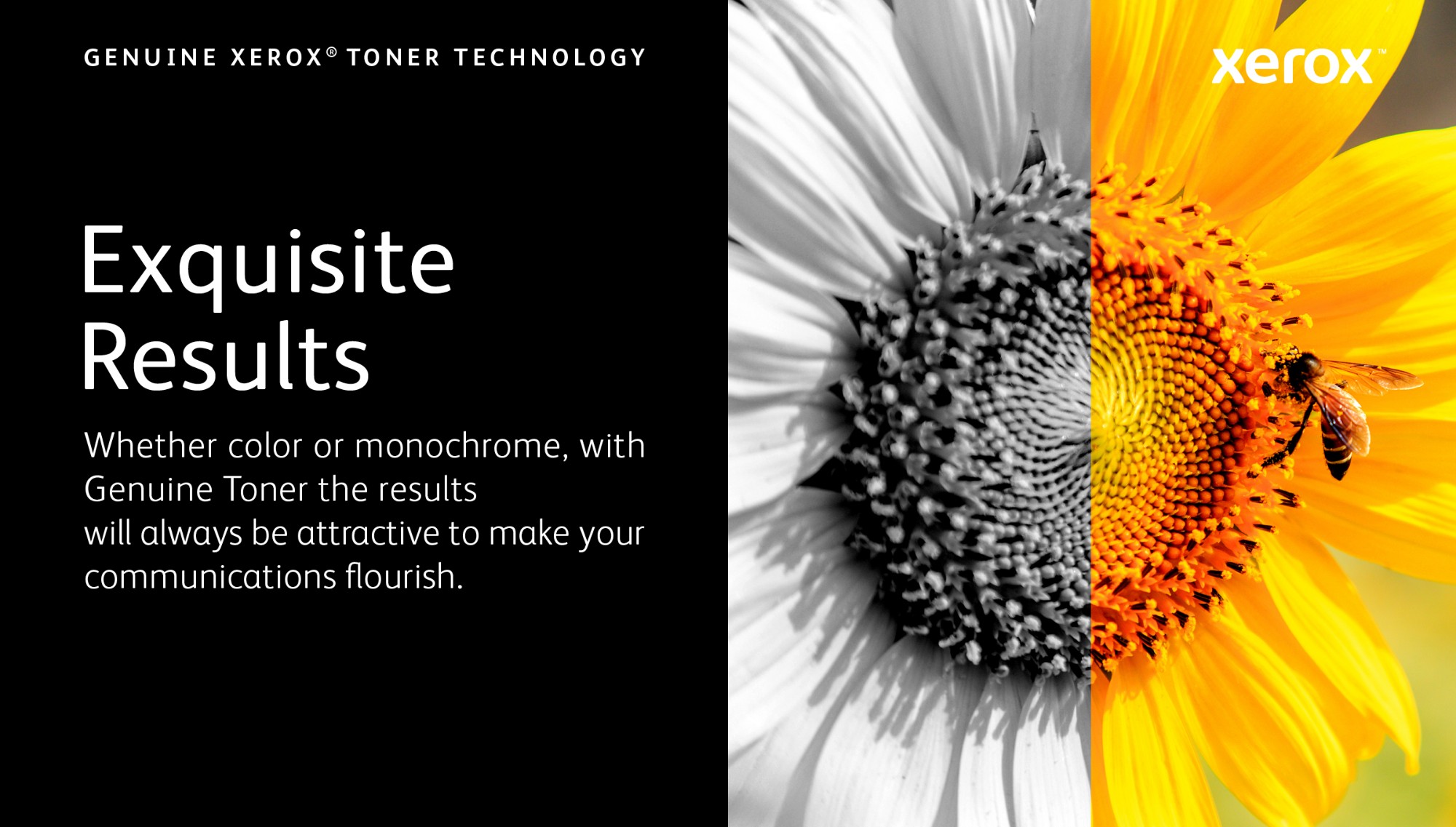 Xerox 006R04376 Toner-kit, 3K pages ISO/IEC 19752 for Xerox B 310