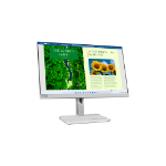 Lenovo L24m-40 computer monitor 60.5 cm (23.8") 1920 x 1080 pixels Full HD LED Grey