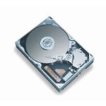 HPE 411276-B21 internal hard drive 250 GB 7200 RPM 3.5" Serial ATA