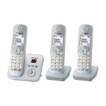 Panasonic KX-TG6823 DECT telephone Caller ID Silver, White