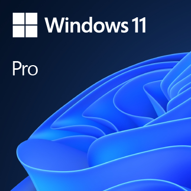 Image of Microsoft Windows 11 Pro OEM