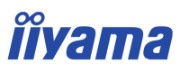 iiyama