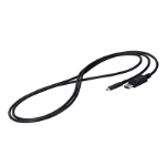 EIZO CP200-BK DisplayPort cable 2 m USB Type-C Black