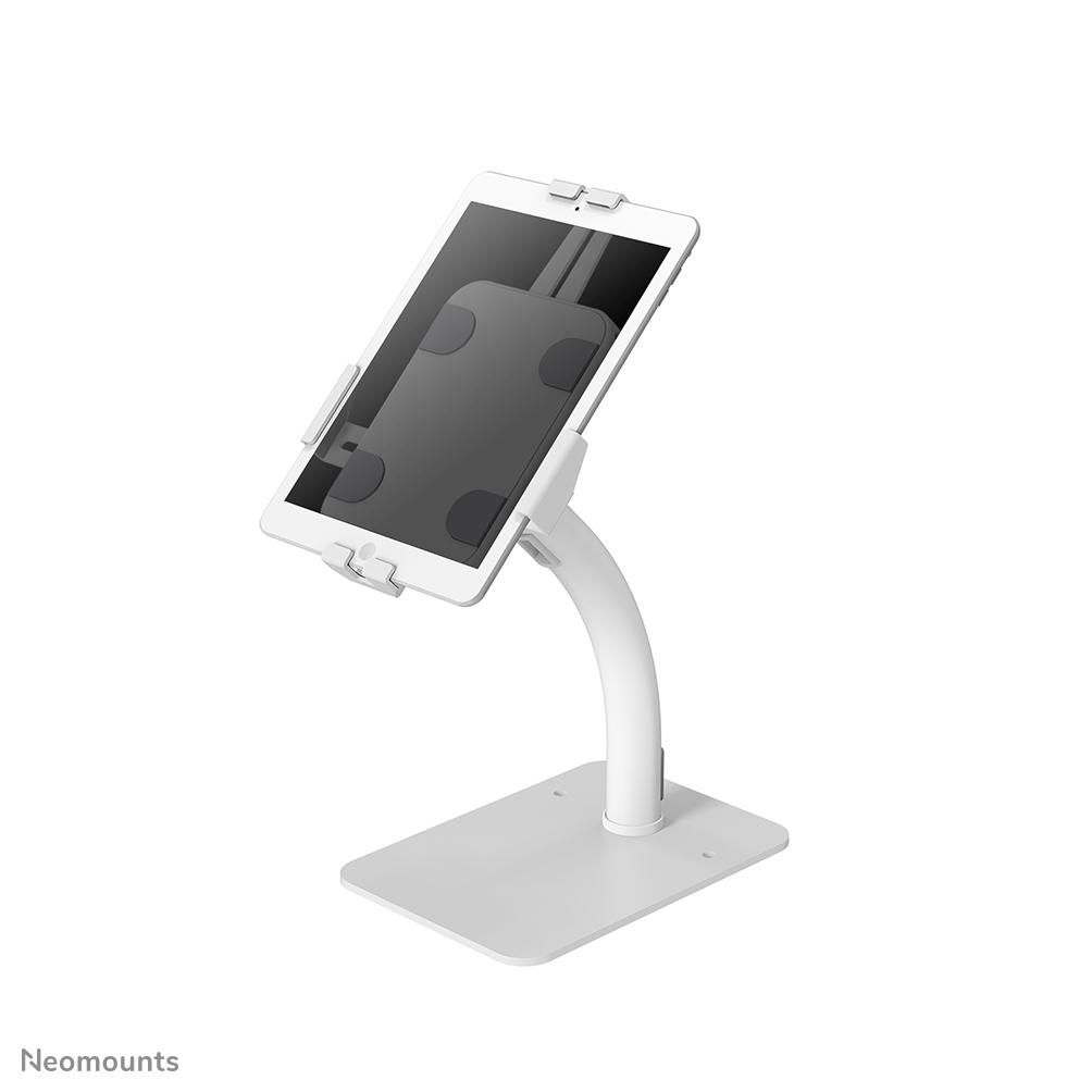 Photos - Holder / Stand NewStar Neomounts countertop tablet holder DS15-625WH1 