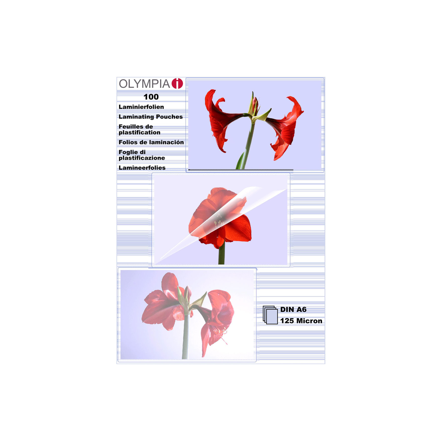 Image of Olympia 1x100 DIN A6 125 micron laminator pouch 100 pc(s)
