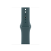 Apple MXL93ZM/A smart wearable accessory Band Green Fluoroelastomer