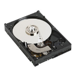 DELL 250GB 3.5" SATA 3.5" Serial ATA