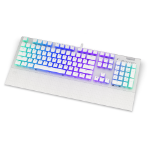 ENDORFY Omnis Pudding Onyx keyboard USB QWERTY English White