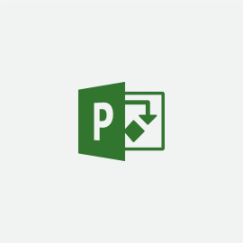 Microsoft Project Standard 2019 Full 1 license(s) English