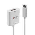 Lindy USB Type C to DisplayPort Adapter