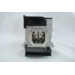 Diamond Lamps Lamp for PANASONIC PT-AH1000E:PT-AR100U:PT-LZ370E Projector