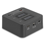 DeLOCK 64300 basisstation voor opslagstations USB 3.2 Gen 2 (3.1 Gen 2) Type-C Zwart