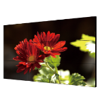 DS-D2049LU-Y - Video Wall Displays -