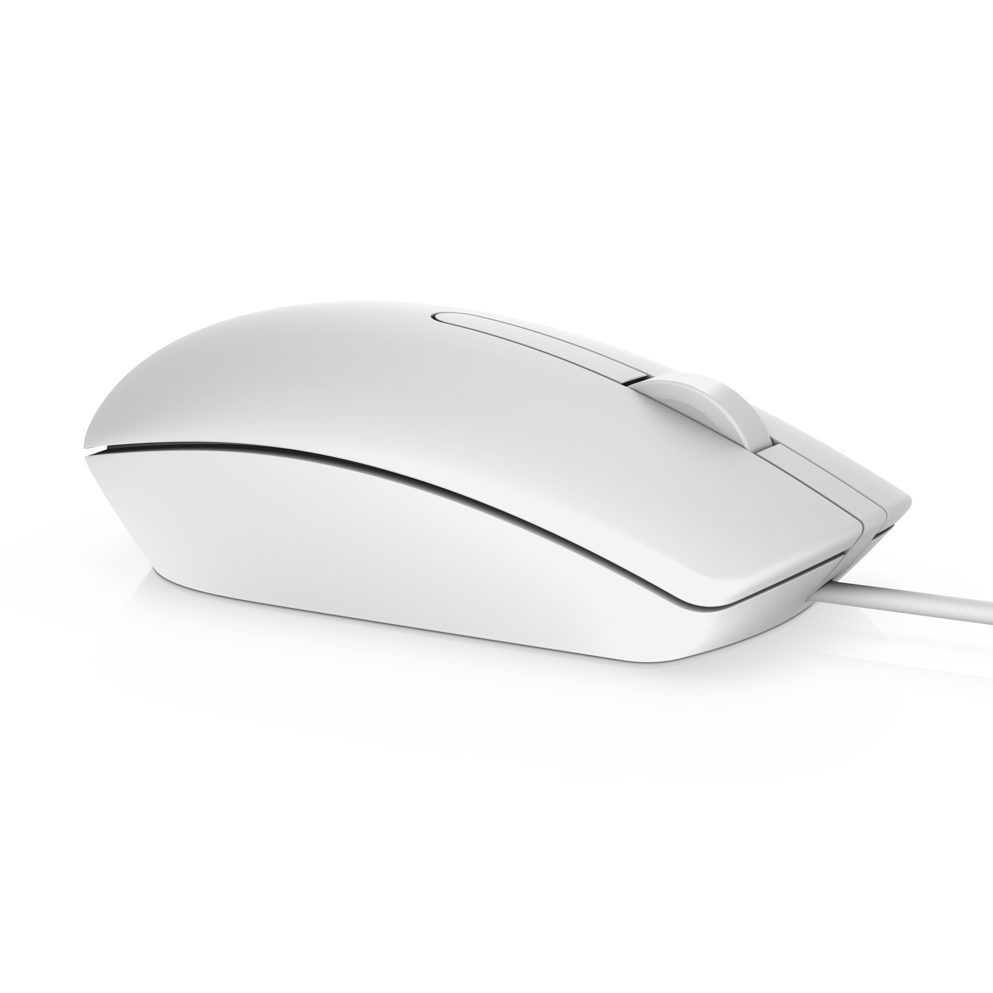 DELL MS116 mouse USB Type-A Optical 1000 DPI Ambidextrous