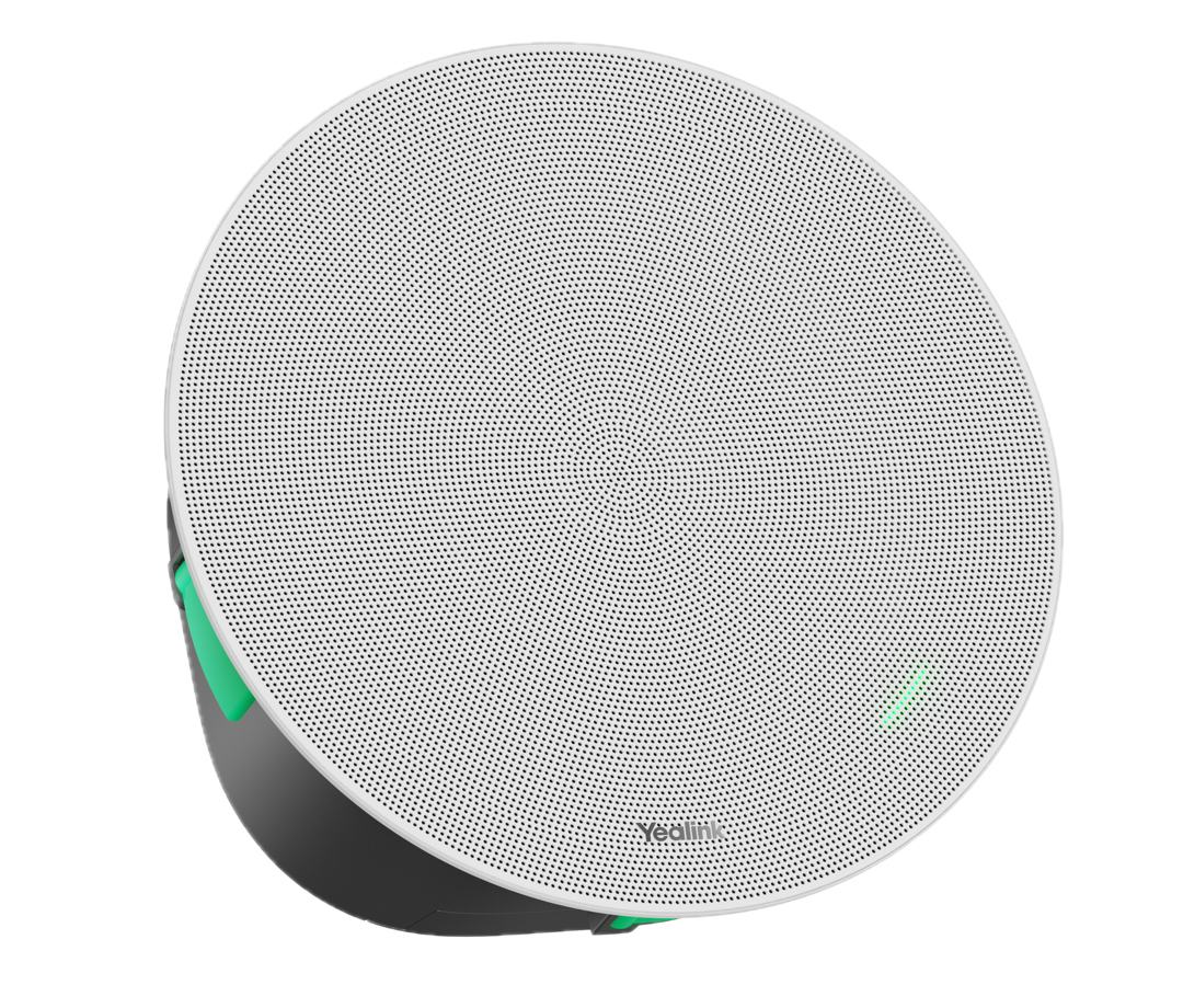 EU Product - ProAudio - Accessory Ceiling Speaker CS10-D thumbnail