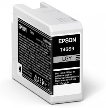 Image of Epson C13T46S900/T46S9 Ink cartridge photo gray 25ml for Epson...