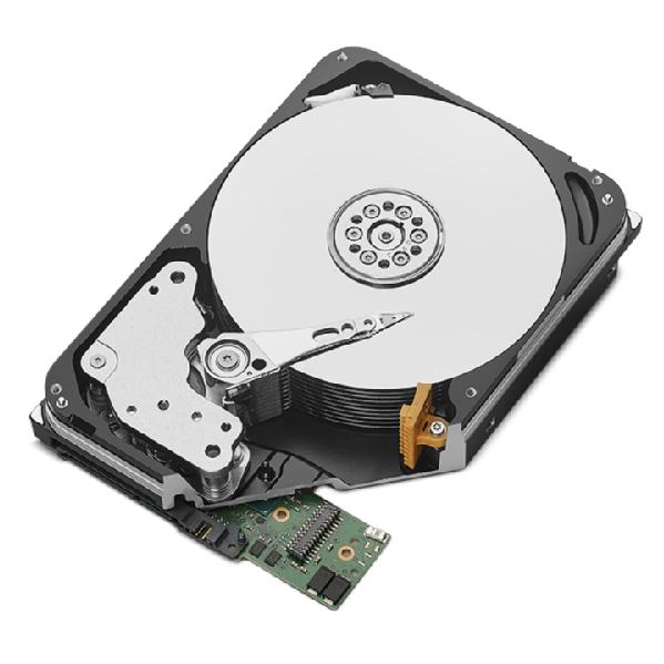 Seagate IronWolf Pro 20 To (ST20000NT001)