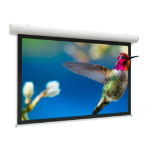 Da-Lite Elpro Concept projection screen 3.66 m (144") 16:10