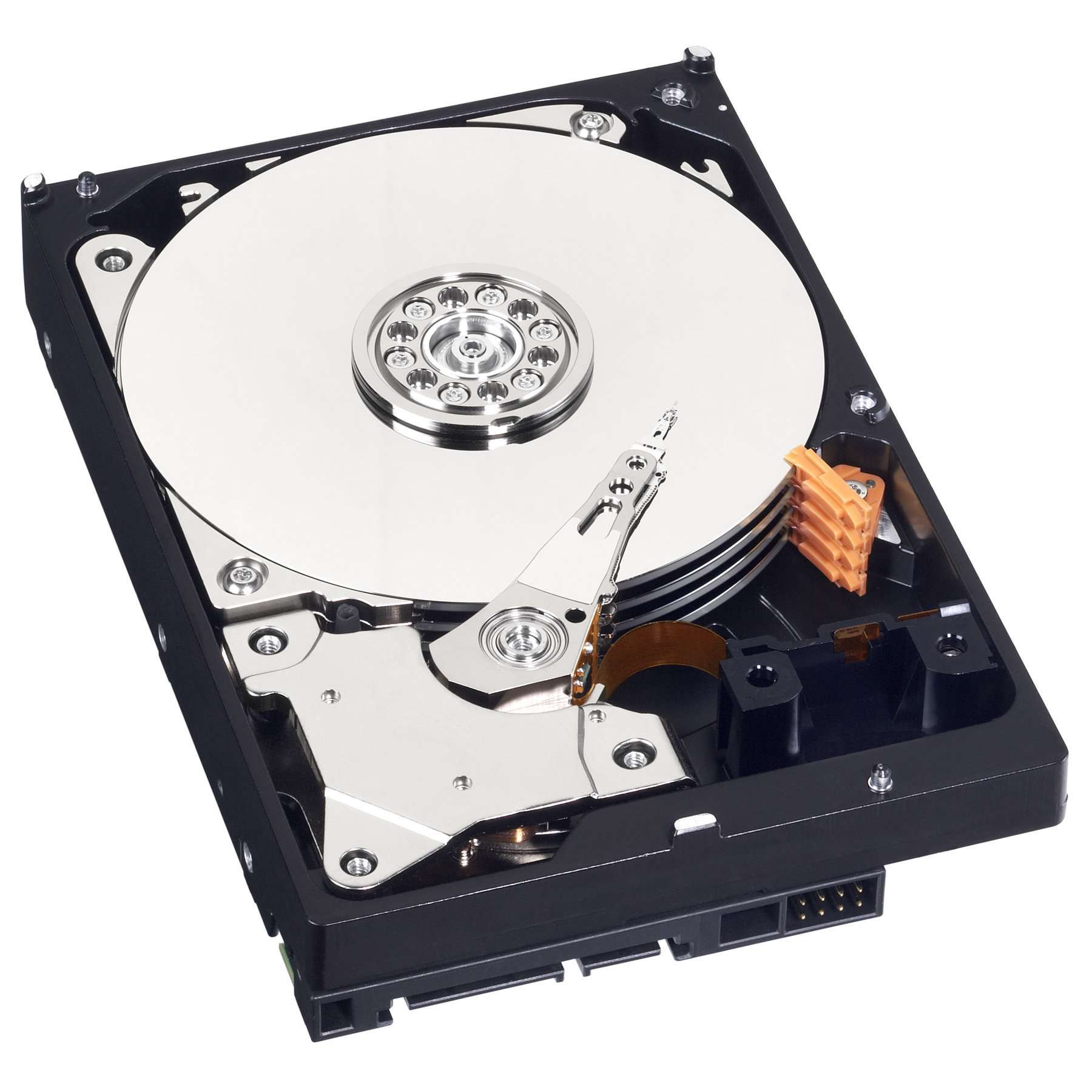 Western digital stock options