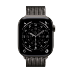 Apple MGJ74ZM/A slimme draagbare accessoire Band Leisteenkleur Roestvrijstaal