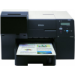 Epson B-510DN