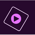Adobe Premiere Elements 2021 Video editor 1 license(s)