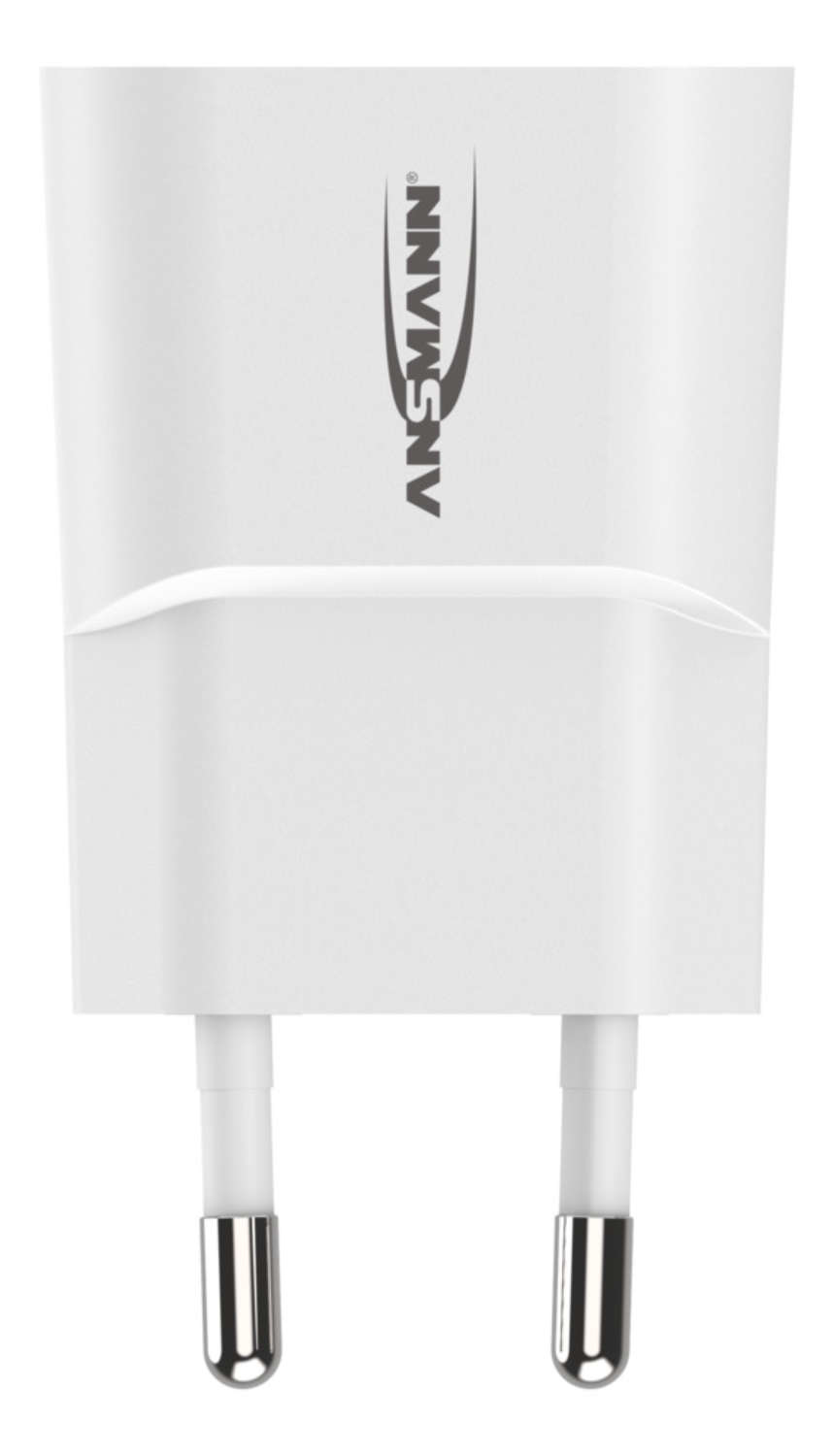 Image of Ansmann HC105 White Indoor