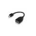 Lenovo 4X90L13971 cable DisplayPort Mini DisplayPort Negro
