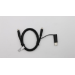 Lenovo US-C Cle W/ Dongle P