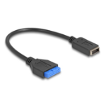 DeLOCK USB 5 Gbps Cable Pin Header female to internal USB Type-E Key A female 25 cm
